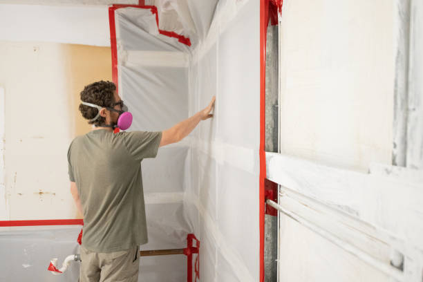 Best Mold Prevention Services  in Grizzly Flats, CA
