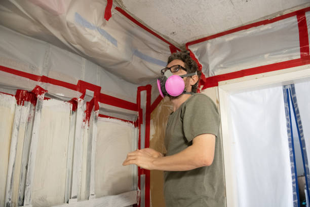 Mold Odor Removal Services in Grizzly Flats, CA