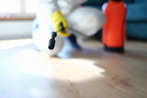 Best Comprehensive Air Testing for Mold Contaminants  in Grizzly Flats, CA