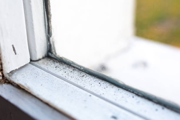 Best Emergency Mold Remediation  in Grizzly Flats, CA